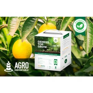 Herbicida Glifosato 66% Power Plus Ii 20lt Atanor Matayuyos